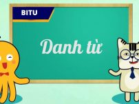 trước danh từ là gì?