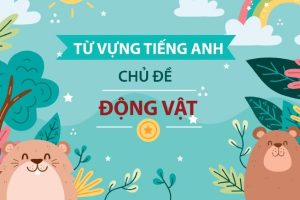 100+ Từ vựng tiếng Anh về động vật dễ thuộc nhất