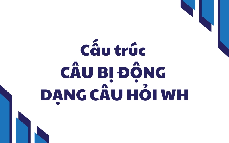 câu bị động wh question