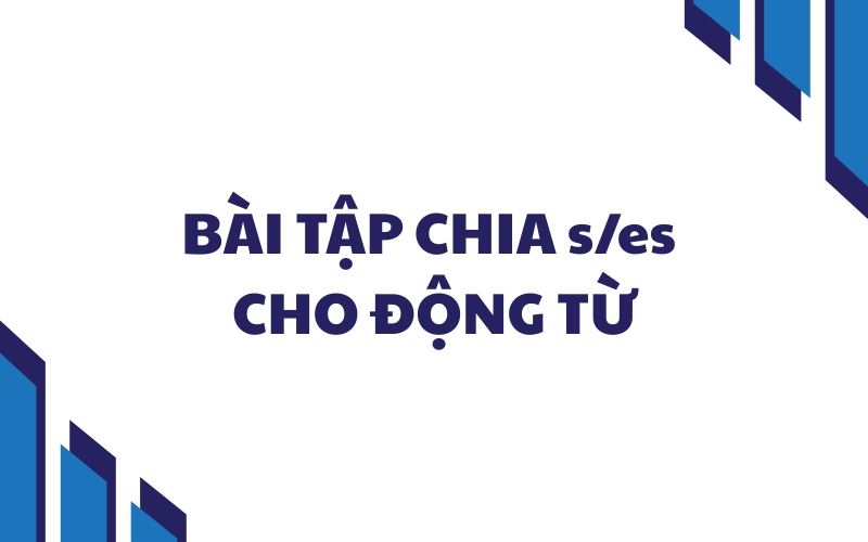 bài tập chia s và es cho động từ