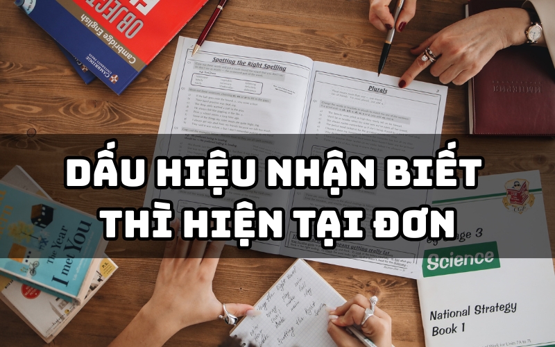 dấu hiệu nhận biết thì hiện tại đơn