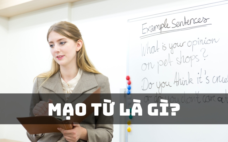 mạo từ là gì