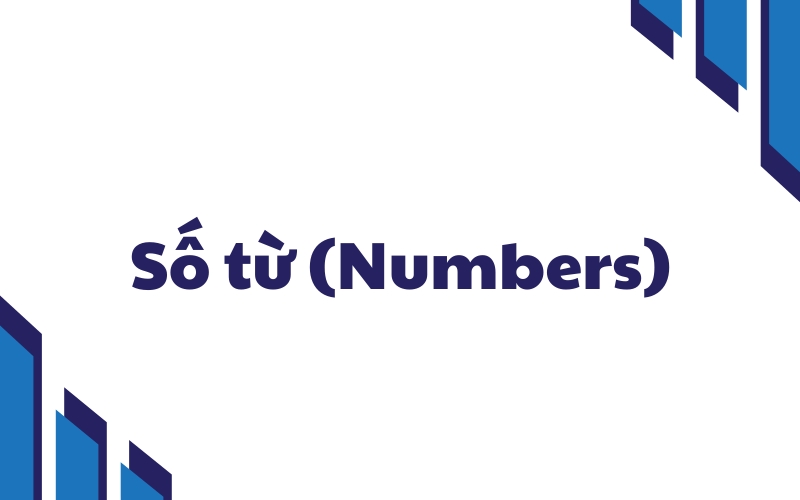 số từ 