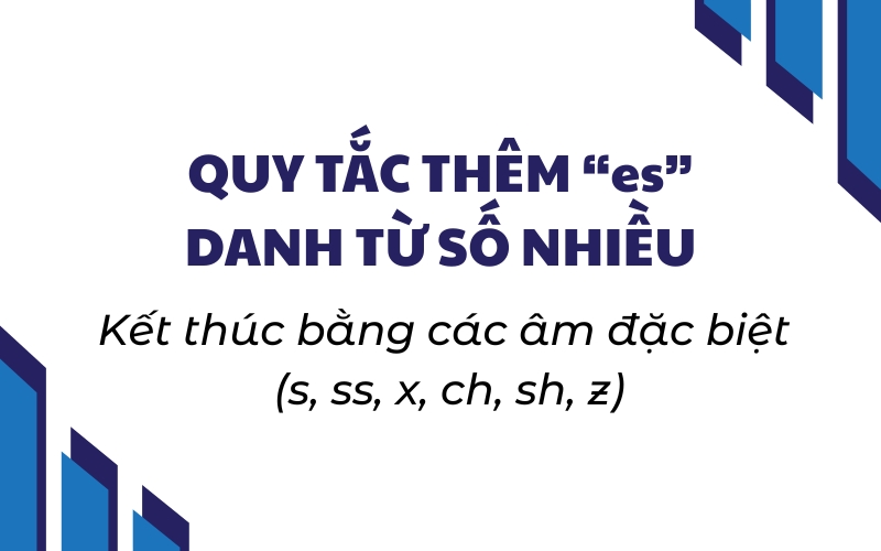 thêm es cho danh từ số nhiều