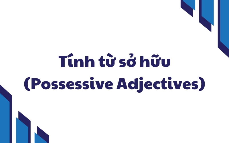 tính từ sở hữu
