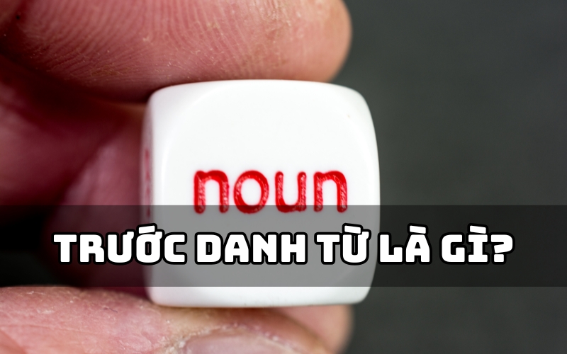 trước danh từ là gì