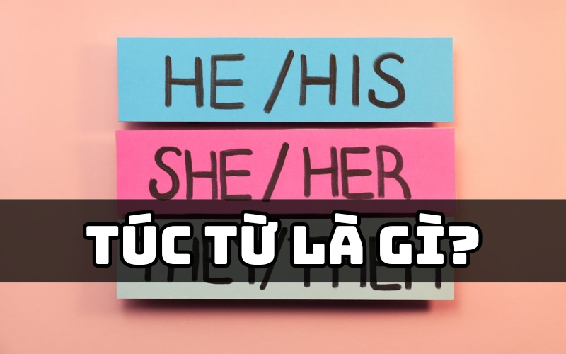 túc từ là gì