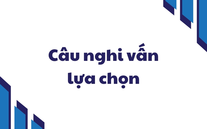 câu nghi vấn lựa chọn