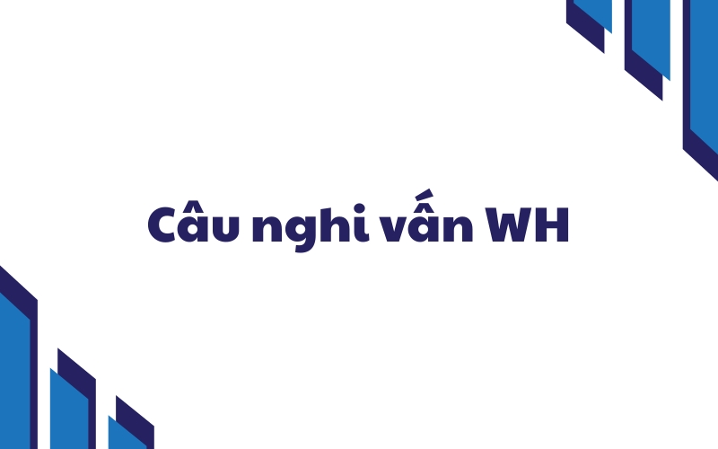 câu nghi vấn wh