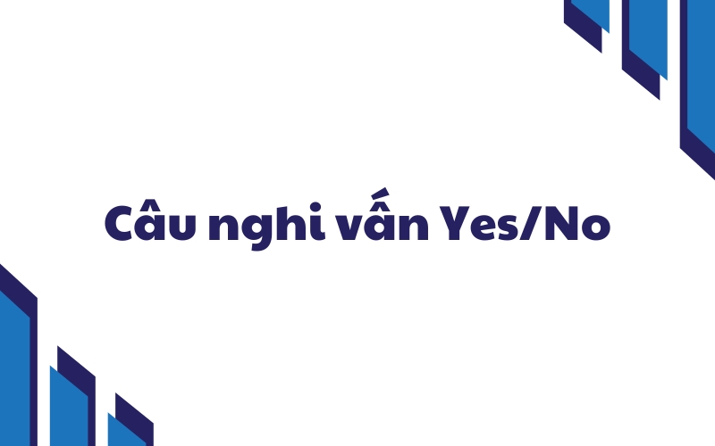 câu nghi vấn yes no