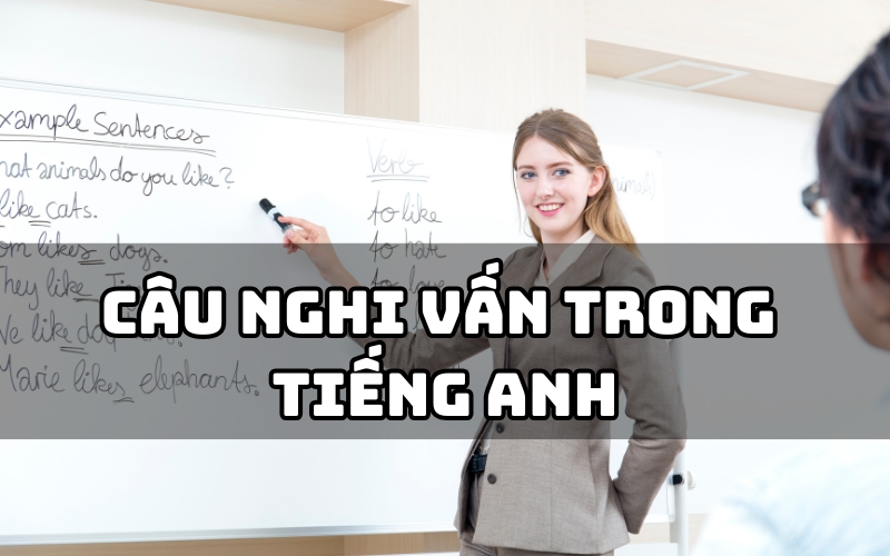 câu nghi vấn