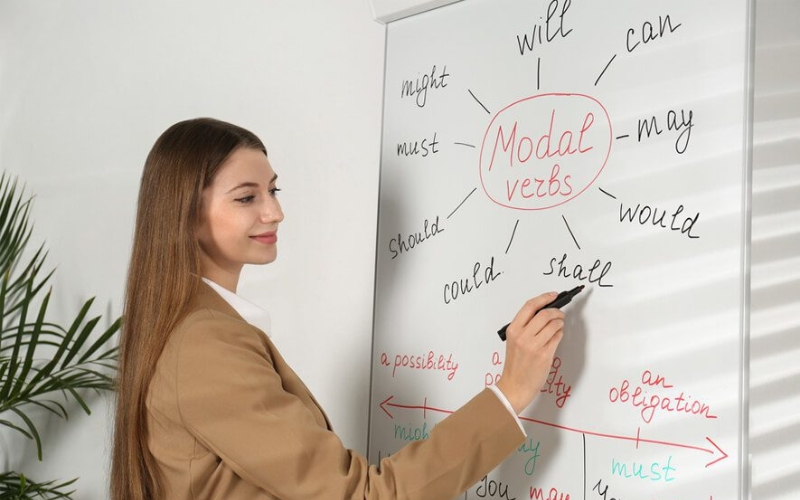phân loại model verb theo chức năng