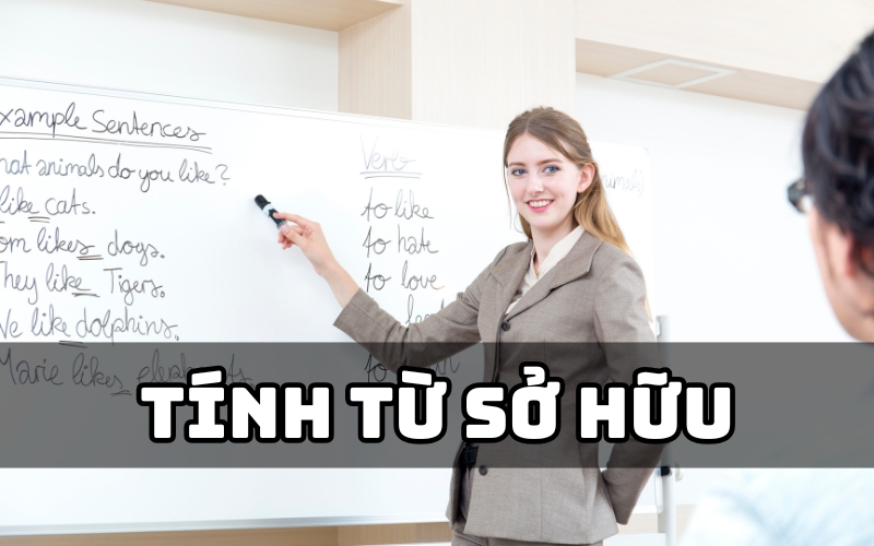 tính từ sở hữu