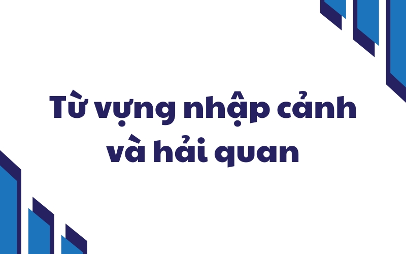 từ vựng tiếp viên hàng không về nhập cảnh và hải quan